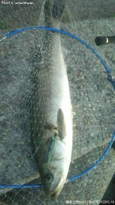 �����Х�