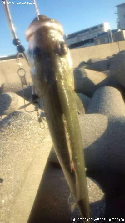 �����Х�