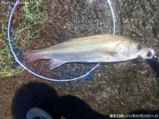 �����Х�