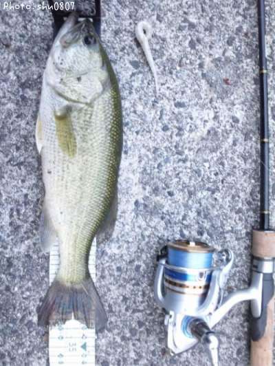 �֥�å��Х�