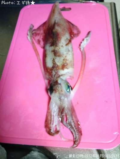 ���󥵥�����