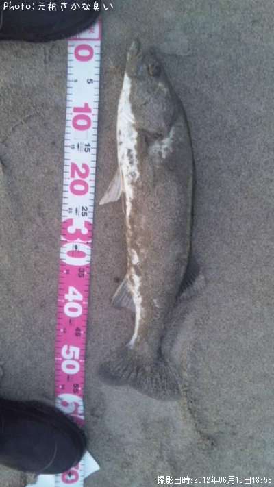 �����Х�