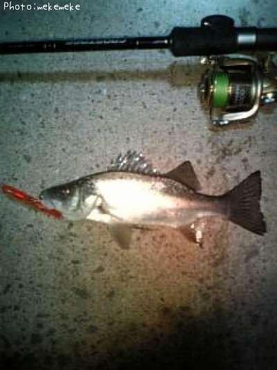 �����Х�