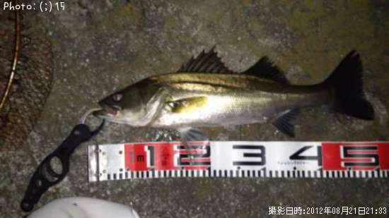 �����Х�