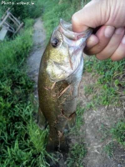 �֥�å��Х�