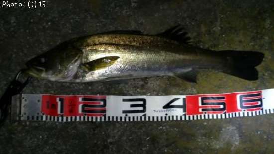 �����Х�