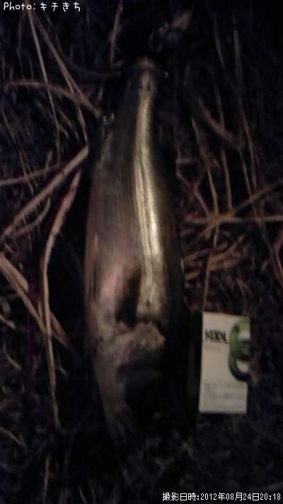 �����Х�