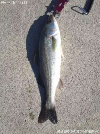 �����Х�