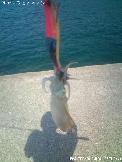 �����ꥤ��