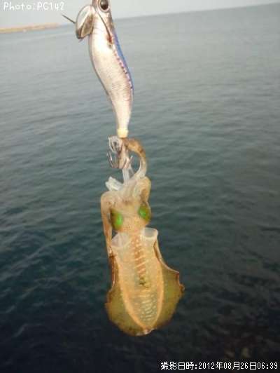 �����ꥤ��