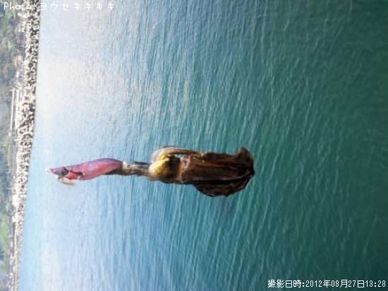 �����ꥤ��