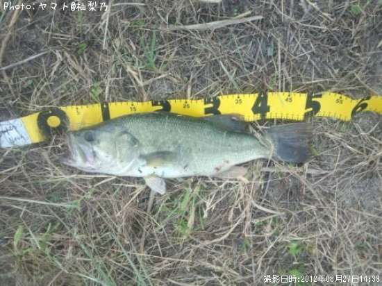 �֥�å��Х�