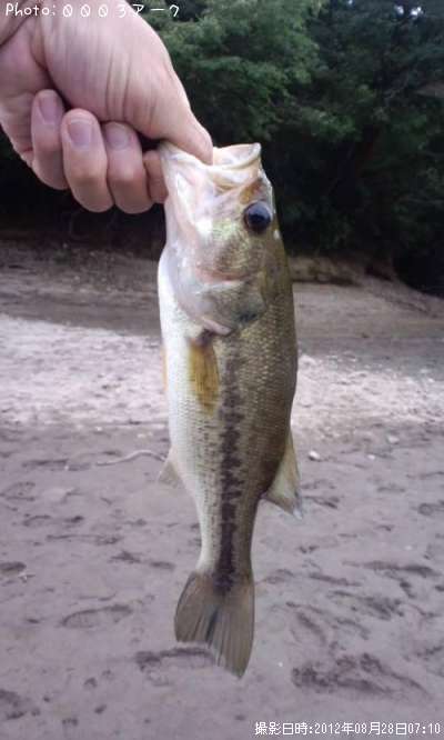 �֥�å��Х�