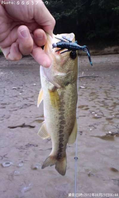 �֥�å��Х�