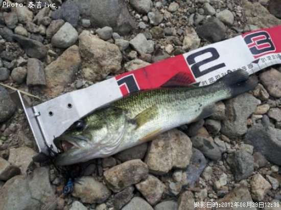 �֥�å��Х�