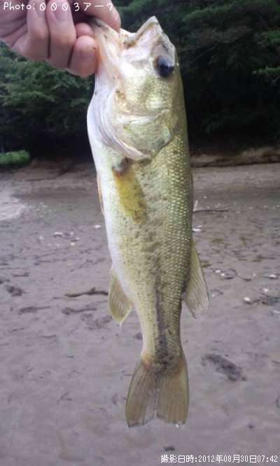 �֥�å��Х�