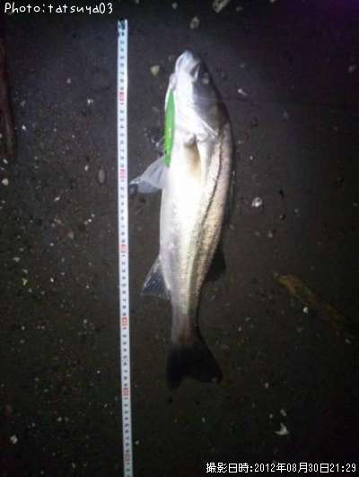 �����Х�