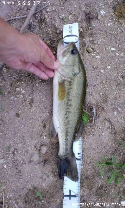 �֥�å��Х�