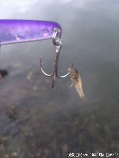 �ϥ�������