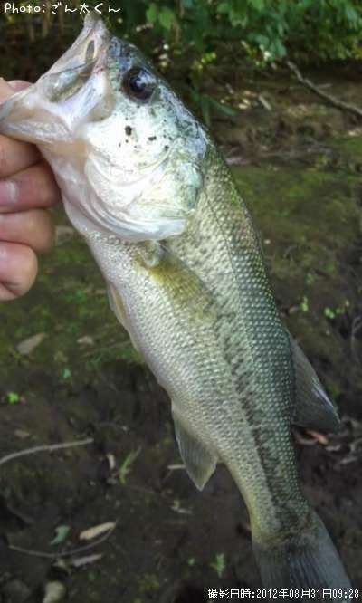 �֥�å��Х�