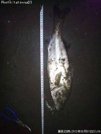 �����Х�