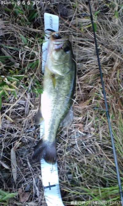 �֥�å��Х�