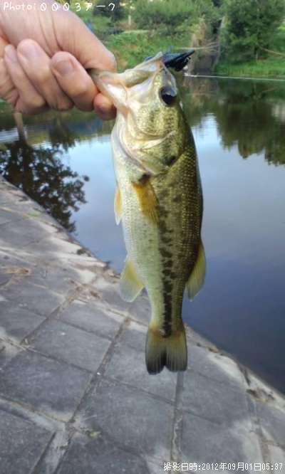 �֥�å��Х�