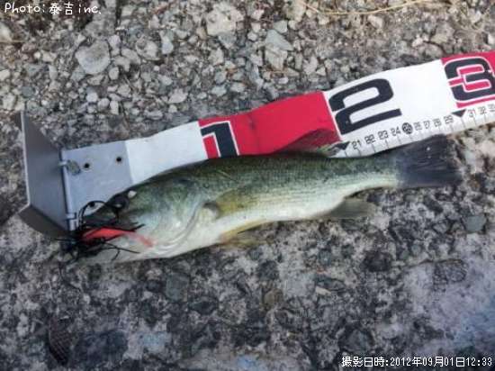 �֥�å��Х�