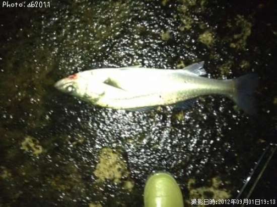 �����Х�