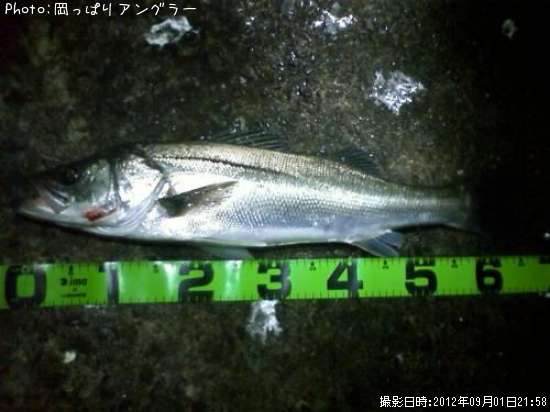 �����Х�