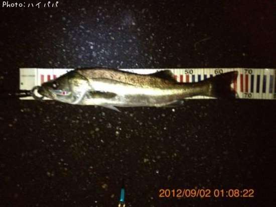 �����Х�