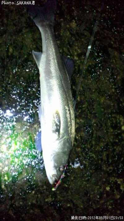 �����Х�