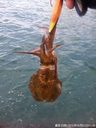 �����ꥤ��