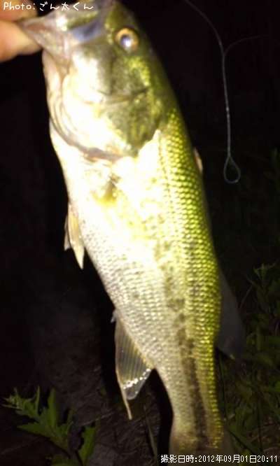 �֥�å��Х�