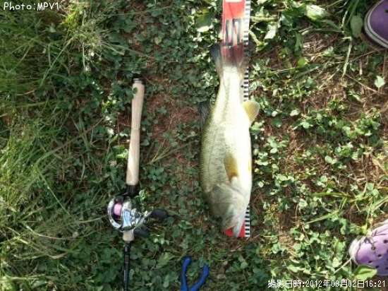 �֥�å��Х�