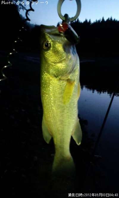 �֥�å��Х�