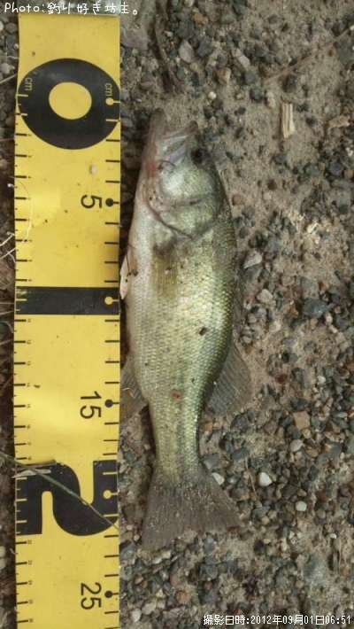 �֥�å��Х�