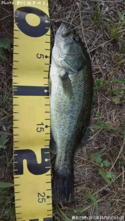 �֥�å��Х�