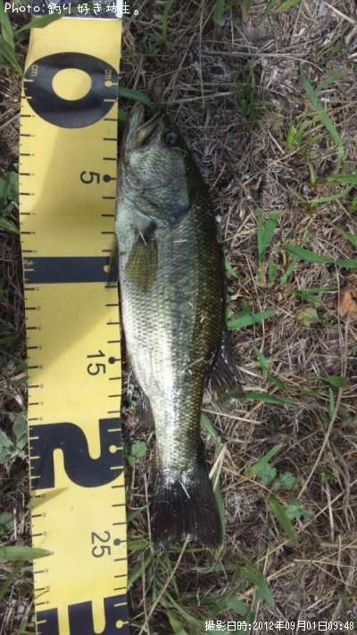 �֥�å��Х�