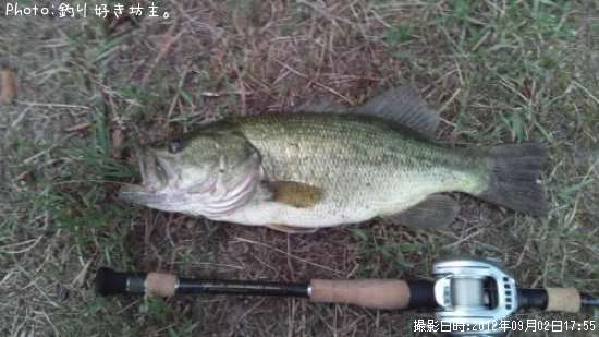 �֥�å��Х�