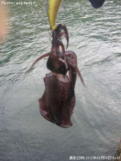 �����ꥤ��