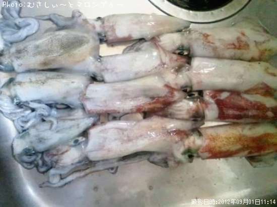 �����ꥤ��