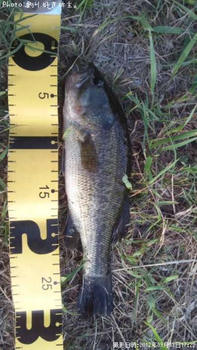 �֥�å��Х�