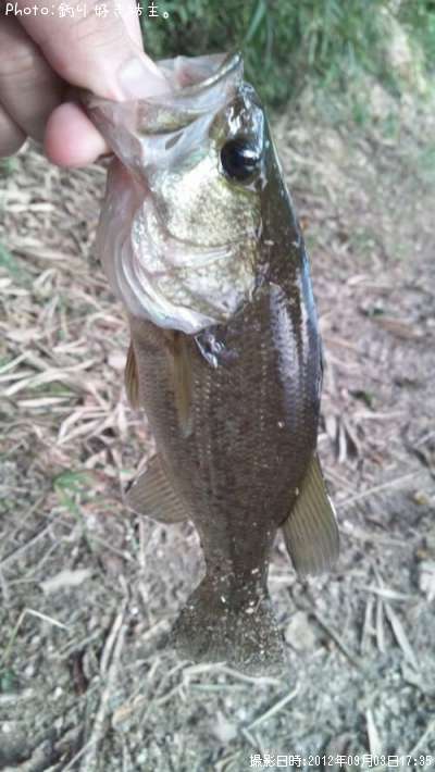 �֥�å��Х�