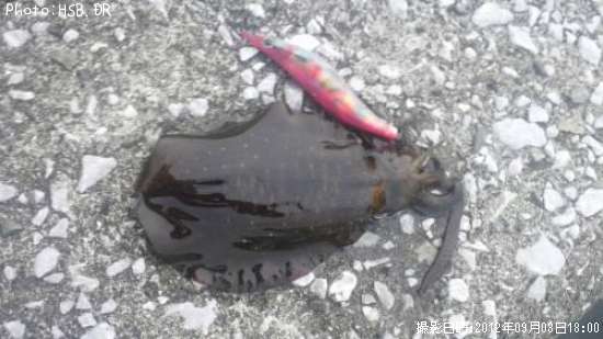 �����ꥤ��