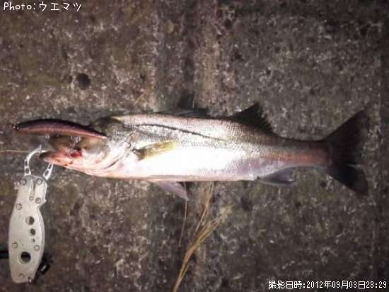 �����Х�