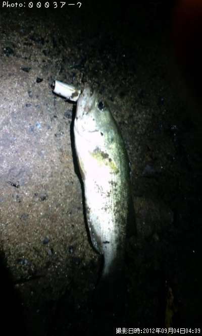 �֥�å��Х�