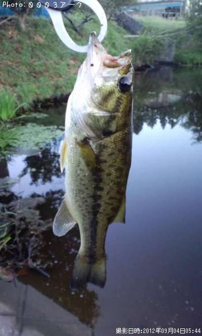 �֥�å��Х�