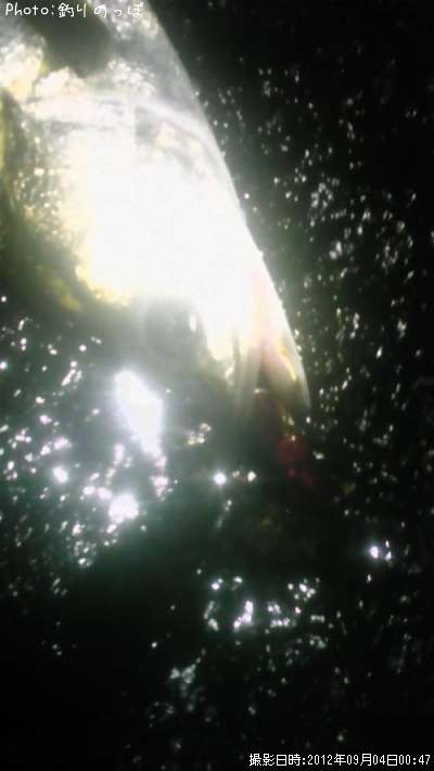 �����Х�