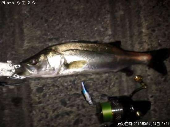 �����Х�